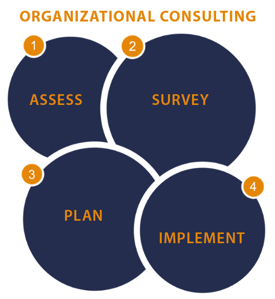 Four Stages of Organizational Consulting - CulturalMastery.com