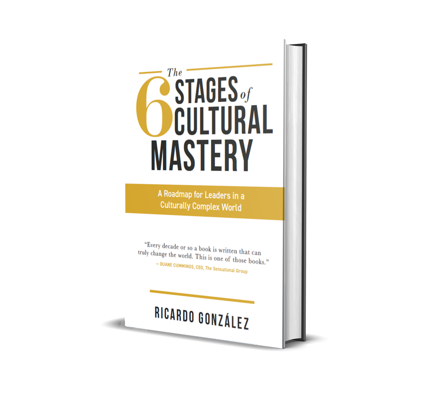6 Stages of Cultural Mastery Book Offer